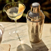 Neptune Tabletop Accessories Regent Cocktail Shaker