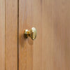 Neptune Handles & Hardware Brass Britten Medium Button Knob, Set of 2