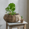 Neptune Pots & Planters Default Littleton Basket, Round